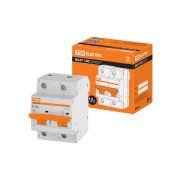 Авт. выкл. ВА47-100 2Р 10А 10кА  х-ка С TDM