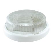 Светильник НПП 03-100-015.01 УХЛ4 «Рондо» TDM