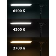 Светильник светодиодный струбцина СН-10, 8 Вт, телескопич., сенс-димм, 2700-6500 К, USB, черный, TDM