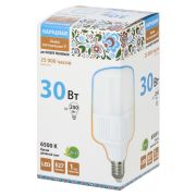 Лампа светодиодная T-30 Вт-230 В-6500 К–E27 (99x168 мм) НАРОДНАЯ