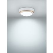 Светильник накладной LED ДПО «Антарес» 8Вт 4000К круг 140*58 мм мат.золото IP54 TDM