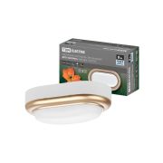 Светильник накладной LED ДПО «Антарес» 8Вт 4000К овал 168*100*58 мм мат.золото IP54 TDM