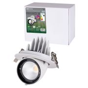 Светильник встраиваемый поворотный «Акцент-1» LED DSL-01-030-NW 30 Вт, 24°, 4000 К, 90 Ra, IP40, TDM