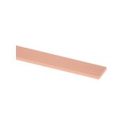 Шина М1Т 10х60х4000 мм