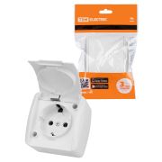Розетка 2П+З открытой установки IP54 16А с крышкой белая «Селигер» TDM