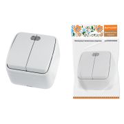 Выключатель 2-кл. открытой установки с подсветкой IP20 10А, белый «Дача» Народная