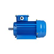 Электродвигатель АИР 63A4 3ф 0,25 кВт 1500 об/мин 1081 TDM
