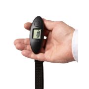 Безмен электронный «Этна 1», деление 0,1 кг, макс. вес 40 кг, TDM