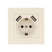 Розетка 2П+З 16А 250В + 2 USB порта 2,1А 5В сл. кость «Сенеж» TDM