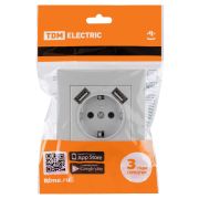 Розетка 2П+З 16А 250В + 2 USB порта 2,1А 5В серебр. металлик «Сенеж» TDM