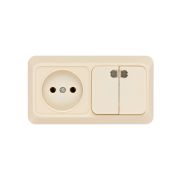 Блок комбинированный выключатель 2-кл. 10А с подсветкой + розетка 2П 10А 250В БКВР IP20 сл. кость «Ладога» TDM