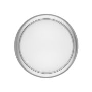 Светильник накладной LED ДПО «Антарес» 15Вт 6500К круг 180*66 мм мат.серебро IP54 TDM