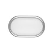 Светильник накладной LED ДПО «Антарес» 15Вт 6500К овал 221*131*68 мм мат.серебро IP54 TDM