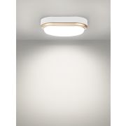 Светильник накладной LED ДПО «Антарес» 15Вт 6500К овал 221*131*68 мм мат.золото IP54 TDM