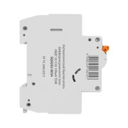 Автоматический Выключатель Дифференциального тока - АВДТ 32 C50 100мА TDM