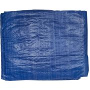 STAYER 6 х 10 м, плотность 65 г/м2, с люверсами водонепроницаемый, универсальный из тканого полимера, тент-полотно (12560-06-10)