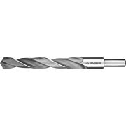 ЗУБР ПРОФ-В, 15.0 х 169 мм, сталь Р6М5, класс В, проточенный хвостовик, сверло по металлу, Профессионал (29621-15)