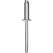 KRAFTOOL Inox, 4.8 x 12 мм, 500 шт, нержавеющие заклепки (311705-48-12)