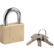 ЗУБР 50 мм, латунный корпус, навесной замок (37299-50)