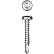 KRAFTOOL DS-P, 32 х 4.8 мм, А2, сверло, полукруглая головка, ТХ25, 250 шт, саморез нержавеющий (300931-48-032)